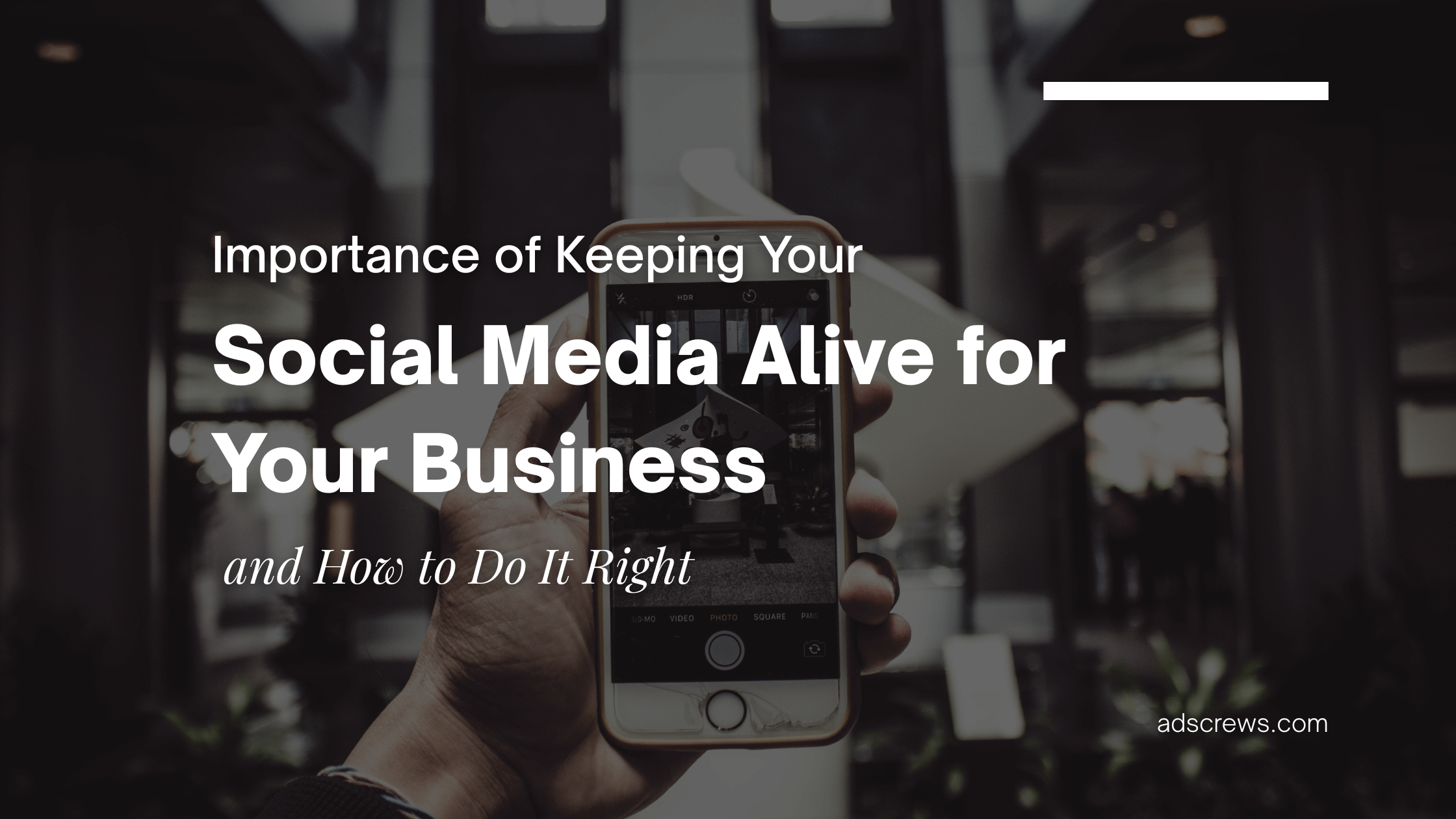 Social Media Alive for Your Business